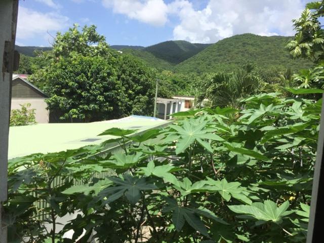 Habitation Baliache - Maison Creole Avec Jardin Privatif, Plage A 200M Deshaies Exterior photo